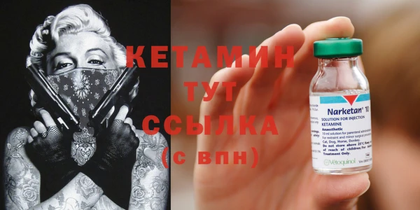 трава Гусиноозёрск