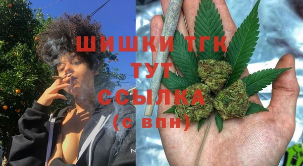 кокс Гусь-Хрустальный