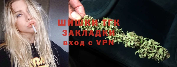 трава Гусиноозёрск