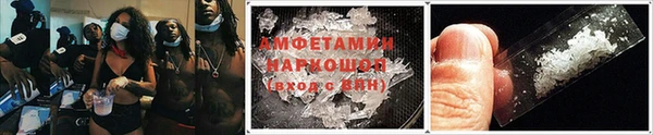 трава Гусиноозёрск