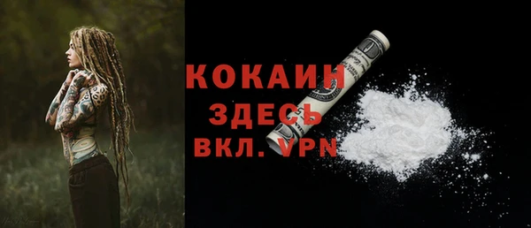 трава Гусиноозёрск