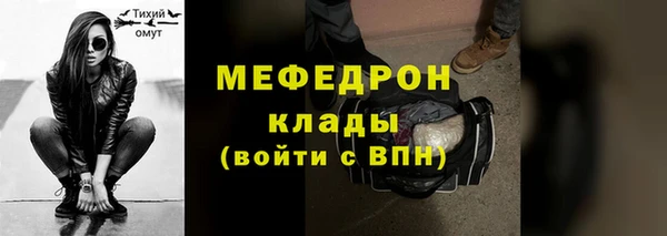 трава Гусиноозёрск