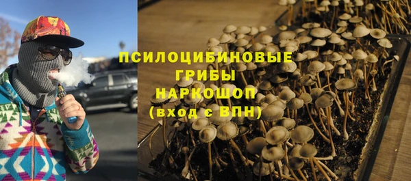 кокс Гусь-Хрустальный