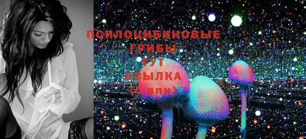 кокс Гусь-Хрустальный