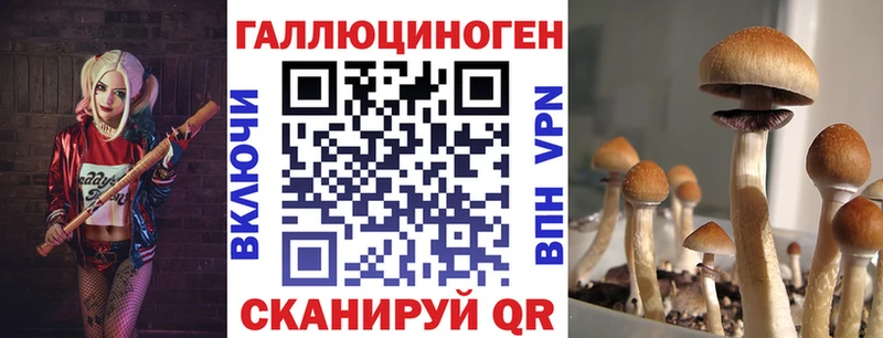 Купить закладки  Коммунар  Псилоцибиновые грибы Cubensis 